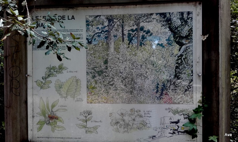 panneau information sur les arbres noirmoutier