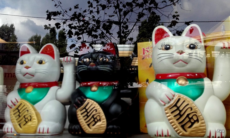 lucky-cats